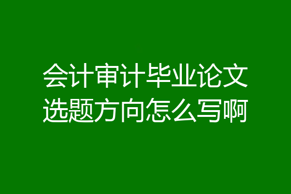 会计审计毕业论文选题方向怎么写啊