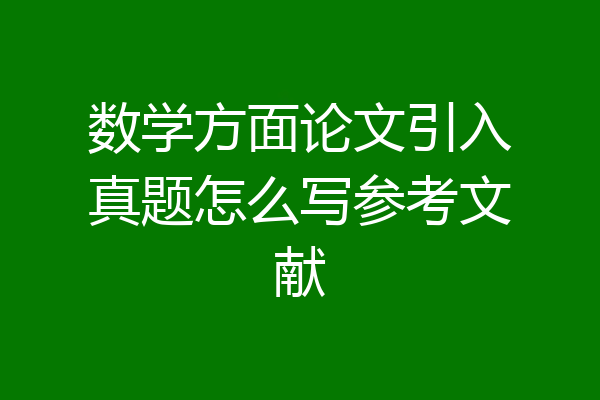 数学方面论文引入真题怎么写参考文献