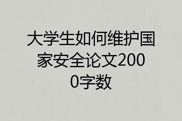 大学生如何维护国家安全论文2000字数