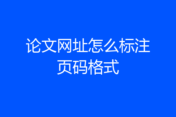 论文网址怎么标注页码格式