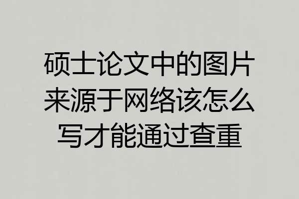 硕士论文中的图片来源于网络该怎么写才能通过查重