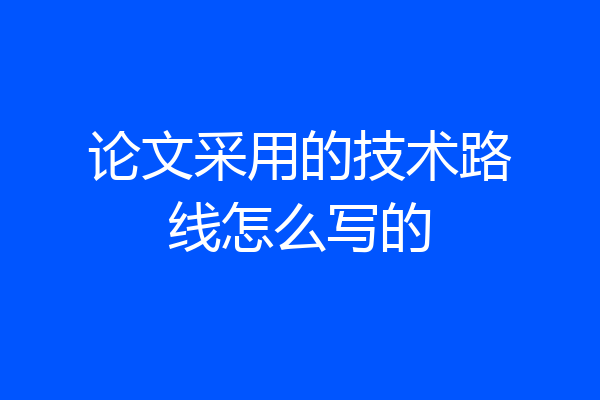 论文采用的技术路线怎么写的
