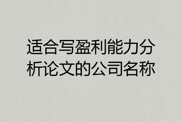 适合写盈利能力分析论文的公司名称