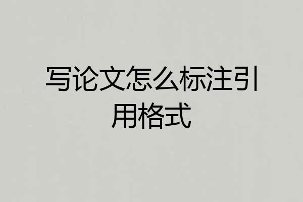 写论文怎么标注引用格式