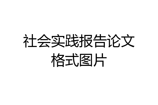 社会实践报告论文格式图片