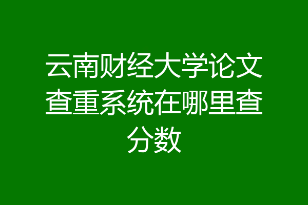 云南财经大学论文查重系统在哪里查分数