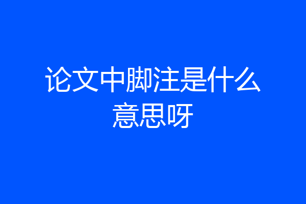 论文中脚注是什么意思呀