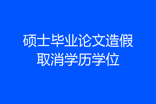 硕士毕业论文造假取消学历学位