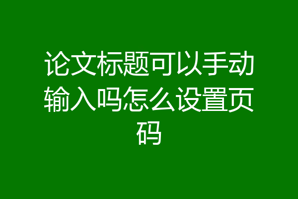 论文标题可以手动输入吗怎么设置页码