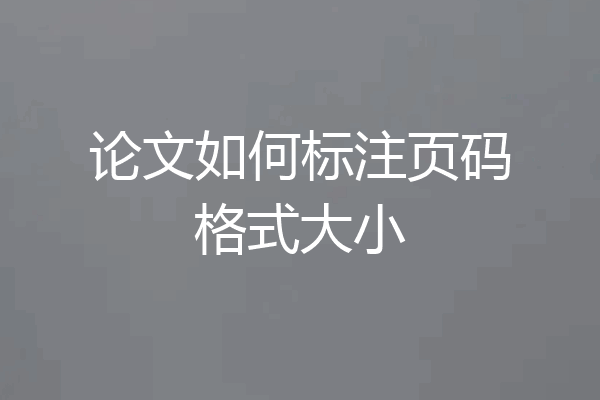 论文如何标注页码格式大小