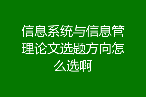 信息系统与信息管理论文选题方向怎么选啊
