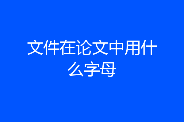 文件在论文中用什么字母