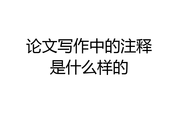 论文写作中的注释是什么样的