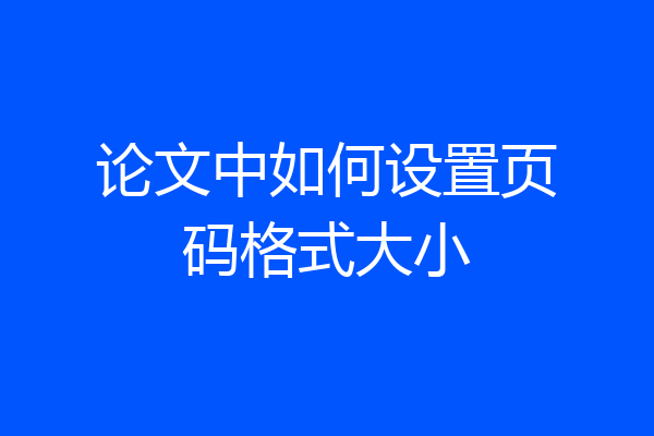 论文中如何设置页码格式大小