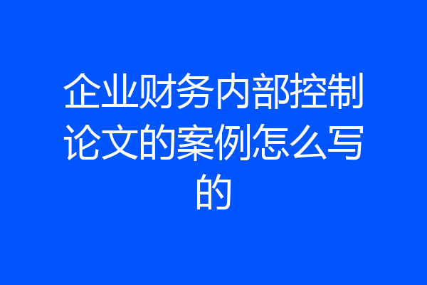 企业财务内部控制论文的案例怎么写的