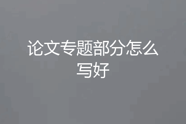 论文专题部分怎么写好