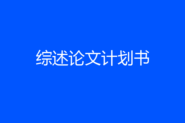 综述论文计划书