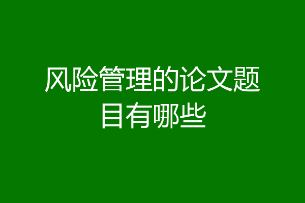 风险管理的论文题目有哪些