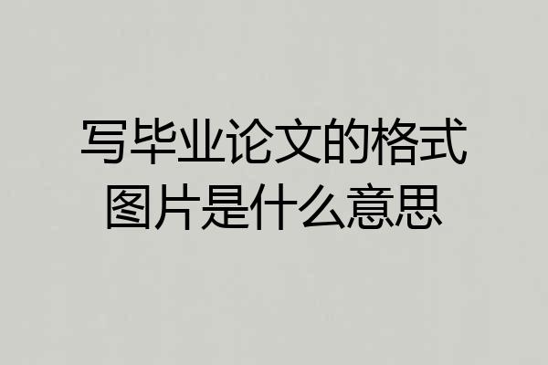 写毕业论文的格式图片是什么意思