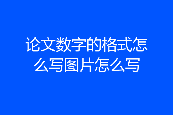 论文数字的格式怎么写图片怎么写