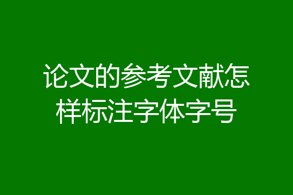 论文的参考文献怎样标注字体字号