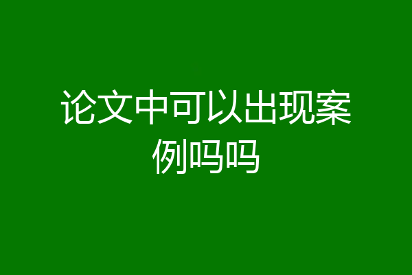 论文中可以出现案例吗吗