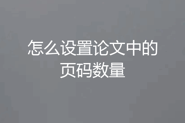 怎么设置论文中的页码数量