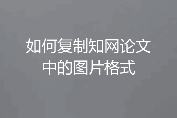 如何复制知网论文中的图片格式