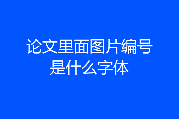 论文里面图片编号是什么字体