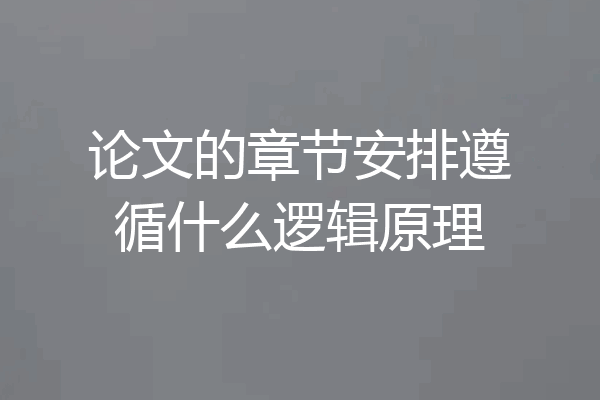 论文的章节安排遵循什么逻辑原理