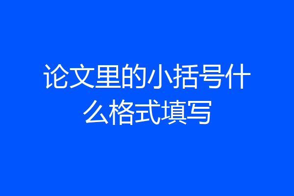 论文里的小括号什么格式填写