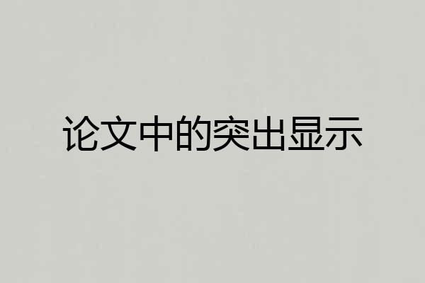 论文中的突出显示