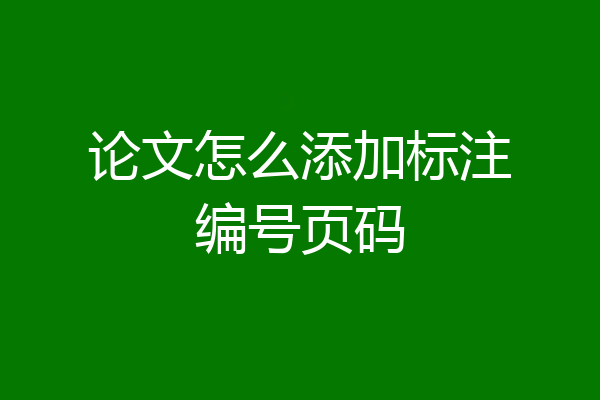 论文怎么添加标注编号页码