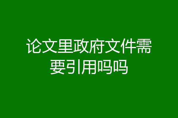 论文里政府文件需要引用吗吗