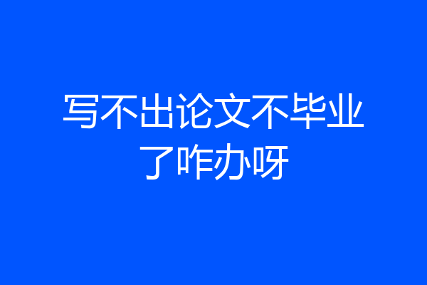 写不出论文不毕业了咋办呀