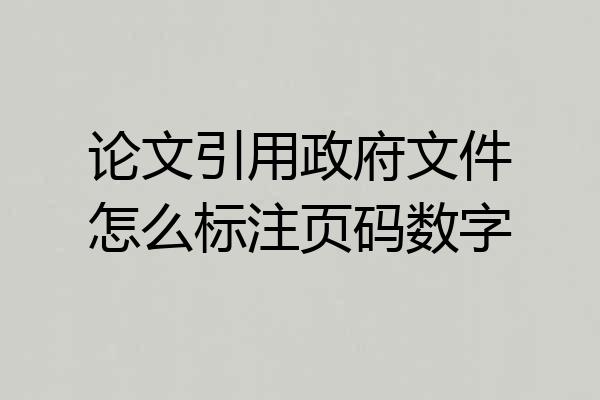 论文引用政府文件怎么标注页码数字