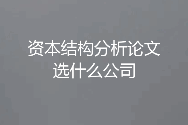 资本结构分析论文选什么公司
