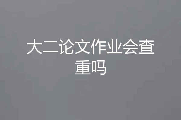 大二论文作业会查重吗