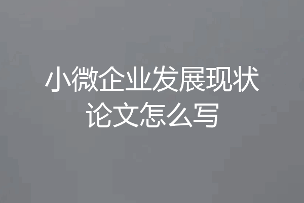 小微企业发展现状论文怎么写