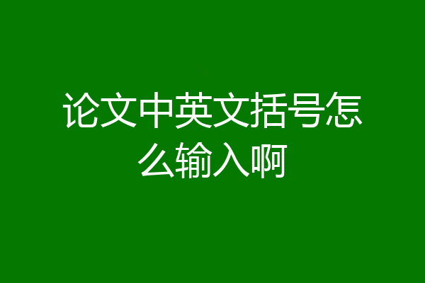论文中英文括号怎么输入啊
