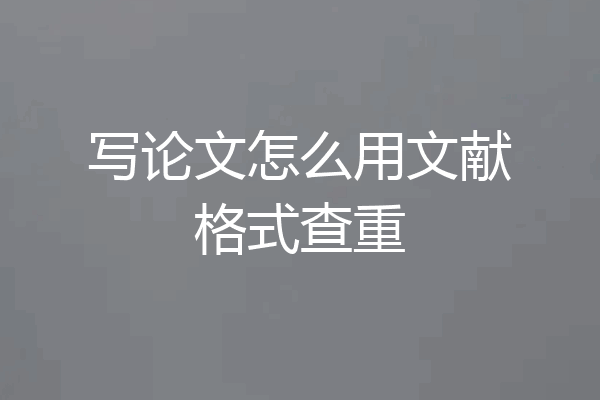 写论文怎么用文献格式查重