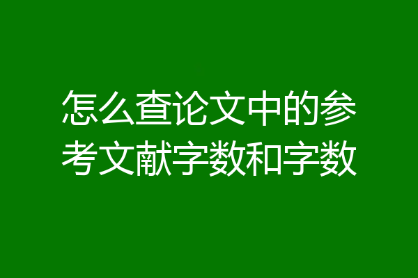 怎么查论文中的参考文献字数和字数