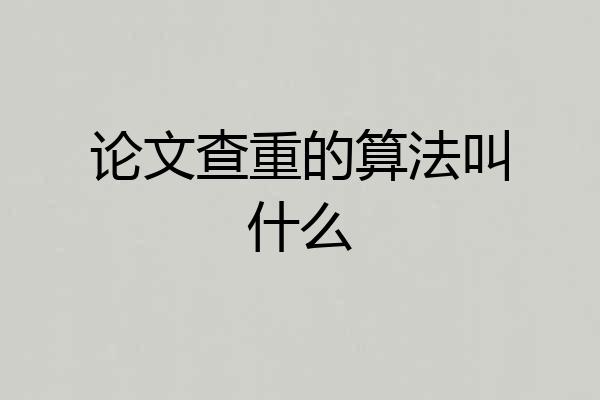 论文查重的算法叫什么