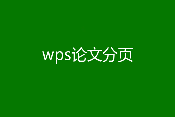 wps论文分页