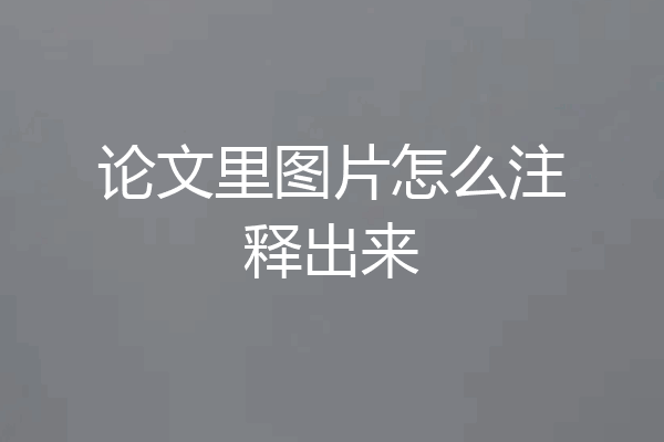 论文里图片怎么注释出来