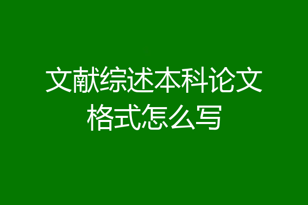 文献综述本科论文格式怎么写