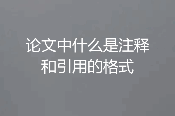 论文中什么是注释和引用的格式