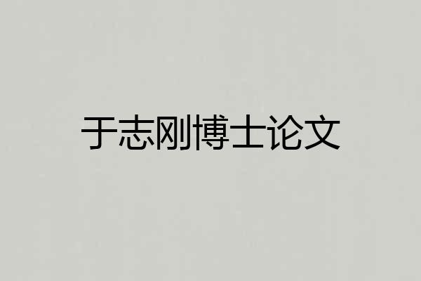 于志刚博士论文