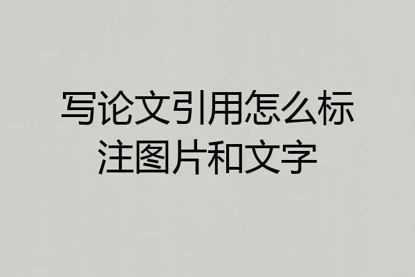 写论文引用怎么标注图片和文字