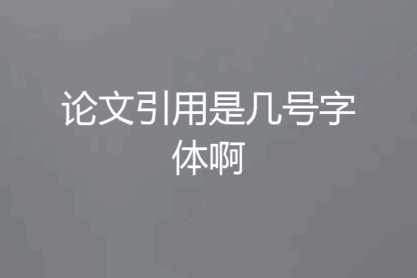 论文引用是几号字体啊